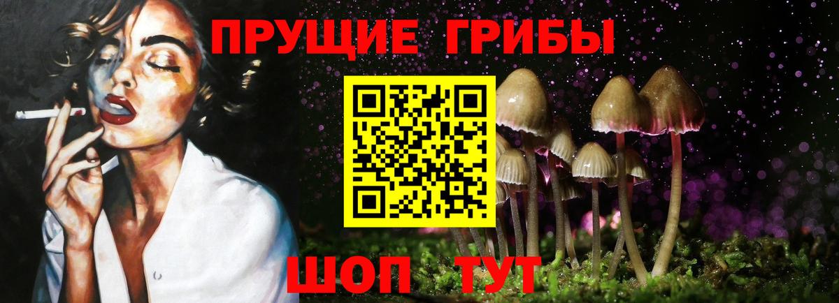 Псилоцибиновые грибы Magic Shrooms  где можно купить   Вход с VPN  Кушва  Псилоцибиновые грибы прущие грибы 